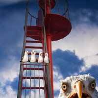Buy canvas prints of Pesky Birds in Danger on Banjo Pier in Looe by Lee Kershaw