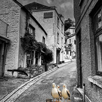 Buy canvas prints of Even Seagulls Need a Holiday so why not in Looe by Lee Kershaw