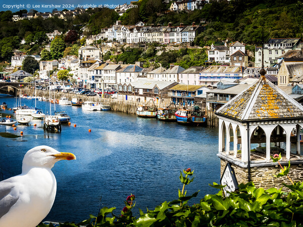 East Looe Quayside Picture Board by Lee Kershaw