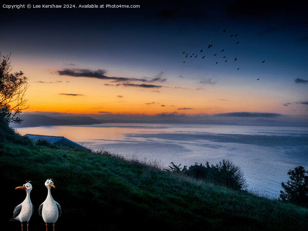 Pesky Birds Catching the Dawn at Looe Picture Board by Lee Kershaw