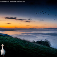 Buy canvas prints of Pesky Birds Catching the Dawn at Looe by Lee Kershaw