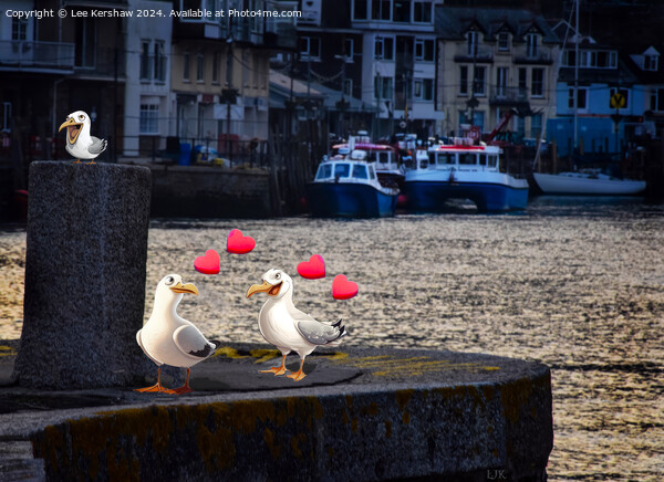 Love in Looe with the Pesky Birds Picture Board by Lee Kershaw