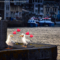Buy canvas prints of Love in Looe with the Pesky Birds by Lee Kershaw