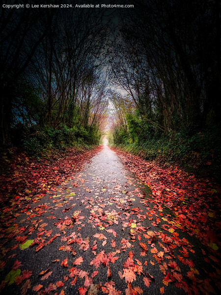 Autumn Path in the Valley of the Crows Picture Board by Lee Kershaw