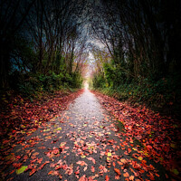 Buy canvas prints of Autumn Path in the Valley of the Crows by Lee Kershaw