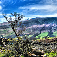 Buy canvas prints of A View of the Brecon Beacons by Lee Kershaw