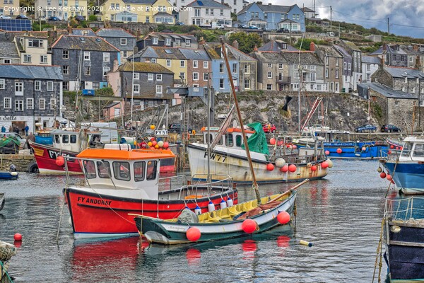 "Vibrant Mevagissey: A Colourful Maritime Haven" Picture Board by Lee Kershaw