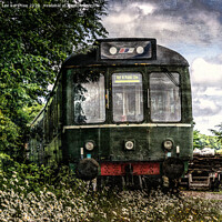Buy canvas prints of Out of Service by Lee Kershaw