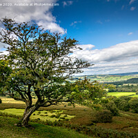 Buy canvas prints of Endless Countryside on a Summer's Day by Lee Kershaw