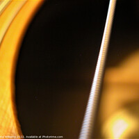 Buy canvas prints of Acoustic string by Fiona Williams