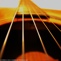 Buy canvas prints of Acoustic guitar hollow and strings by Fiona Williams