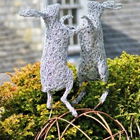 Buy canvas prints of Boxing Hares by Fiona Williams