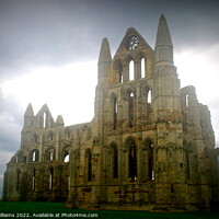 Buy canvas prints of Whitby Abbey by Fiona Williams
