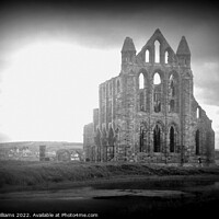 Buy canvas prints of Whitby Abbey in Black and White by Fiona Williams