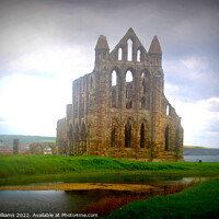 Buy canvas prints of Whitby Abbey and pond by Fiona Williams