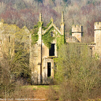 Buy canvas prints of Cambusnethan Priory from the woods close up by Fiona Williams
