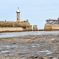 Buy canvas prints of Whitby pier from the beach by Fiona Williams