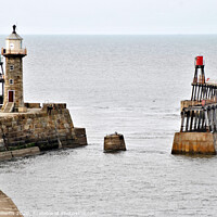 Buy canvas prints of View of whitby piers and lighthouses from the clif by Fiona Williams