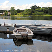 Buy canvas prints of Rowing boats docked at Balloch loch by Fiona Williams