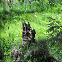 Buy canvas prints of Hidden clay castle in the woods at Ettrick valley by Fiona Williams
