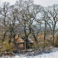 Buy canvas prints of Derelict Farmhouse at Carbarns Farm in Netherton o by Fiona Williams