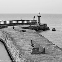 Buy canvas prints of Whitby pier and lighthouses by Fiona Williams