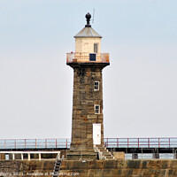 Buy canvas prints of Whitby Lighthouse and pier by Fiona Williams