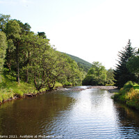 Buy canvas prints of Down the Water at Ettrick valley by Fiona Williams