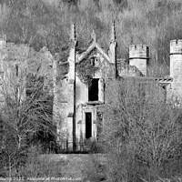 Buy canvas prints of Cambusnethan Priory in the woods by Fiona Williams