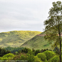 Buy canvas prints of Ettrick Hills by Fiona Williams