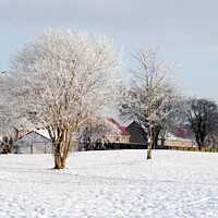 Buy canvas prints of Winter landscape by Fiona Williams