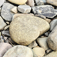 Buy canvas prints of Heart Shaped Rock on a pebble beach by Fiona Williams
