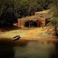 Buy canvas prints of  by the Nile by darrell haywood
