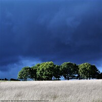 Buy canvas prints of storm clouds gathering by darrell haywood