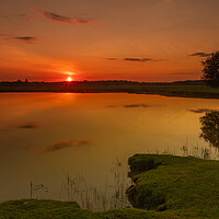 Buy canvas prints of Sun set over the New Forest by Andy Dow