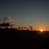 Buy canvas prints of Sunrise over the New Forest by Andy Dow