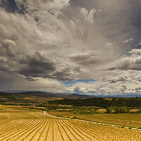 Buy canvas prints of Storms approach over Rioja vineyards  by Andy Dow