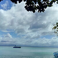 Buy canvas prints of View of the ocean and boats from the trees, nature of the Dominican Republic by Karina Osipova