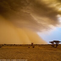 Buy canvas prints of Approaching Sand Storm by Nigel Chester