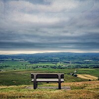 Buy canvas prints of A good place for a ponder by Zoe Rawcliffe