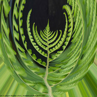 Buy canvas prints of Plant leaves Fern Mouse Eye View by Roger Foulkes