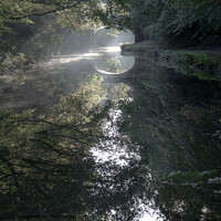 Buy canvas prints of Mirror of worlds in Adlington canal Chorley  by Dee Lister