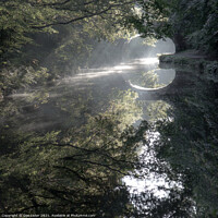 Buy canvas prints of Misty reflections in canal at Adlington Chorley by Dee Lister