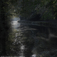Buy canvas prints of Tree reflections in Adlington canal Chorley  by Dee Lister