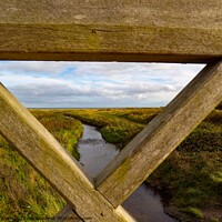 Buy canvas prints of Crimdon Dene stream through the  wooden bridge by Janet Kelly