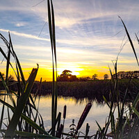 Buy canvas prints of Castle eden pond at sunset by Janet Kelly
