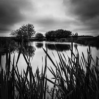 Buy canvas prints of Castle Eden Pond in monochrome  by Janet Kelly