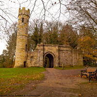 Buy canvas prints of Historic castle in Hardwick Park by Janet Kelly