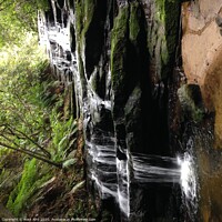 Buy canvas prints of Blue Mountains, NSW Waterfall by Ross Aird