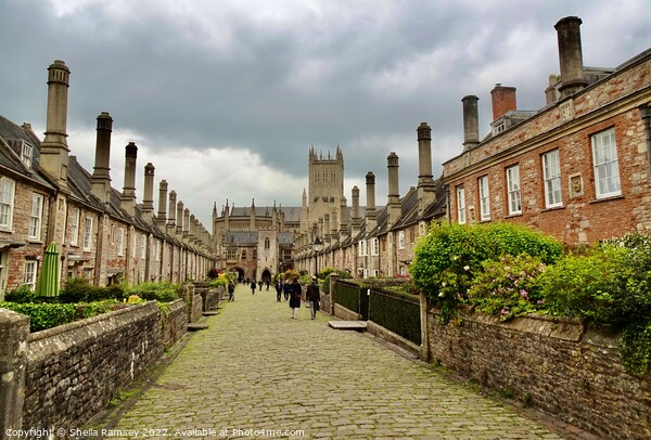 Almshouses Wells Picture Board by Sheila Ramsey